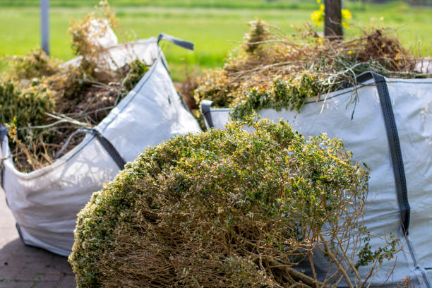 Best Trash Removal Near Me  in Westchase, FL